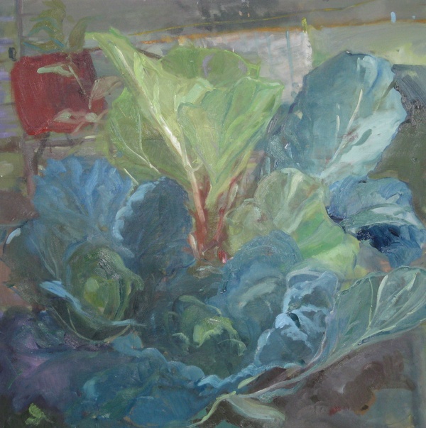 Washing line, cabbages and rhubarb