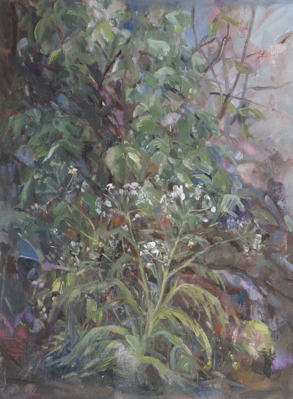 The Garden