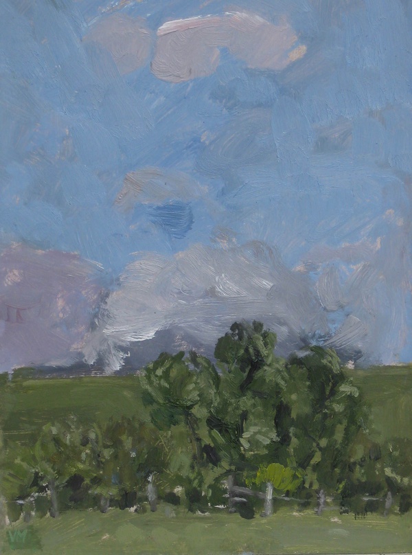 Dorset Landscape 11