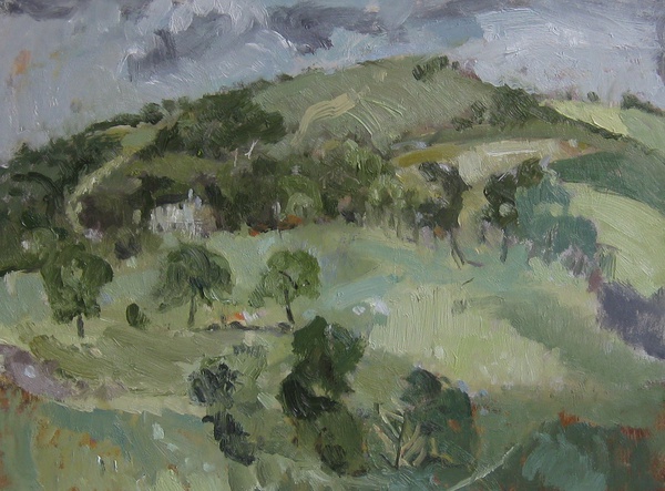 Rural Fields